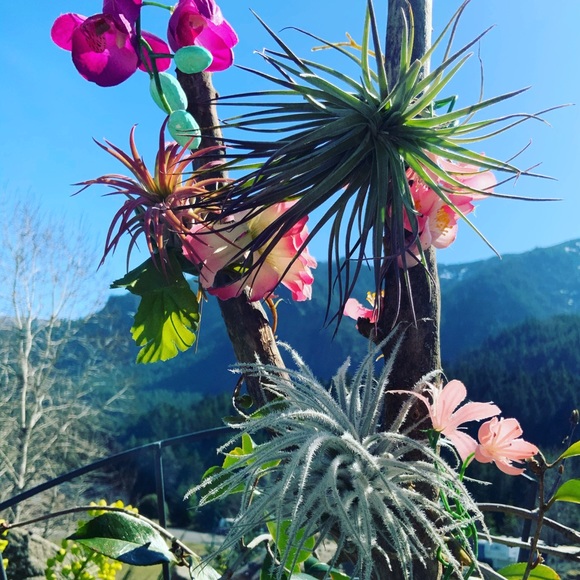 Meet the Posher Kasia - Picture 11 of 16